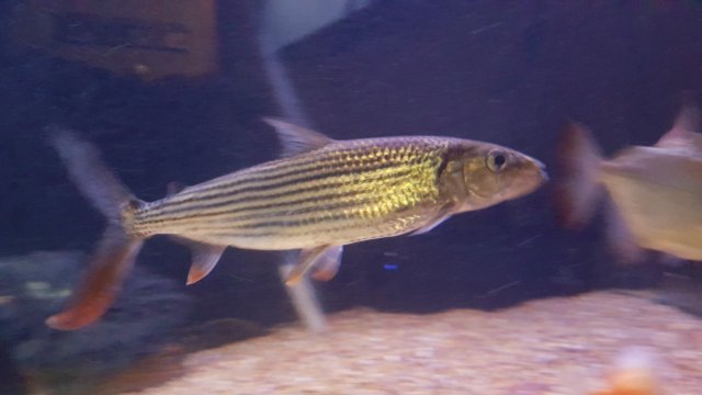 20161013_181455.jpg