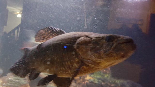 20161013_183315.jpg