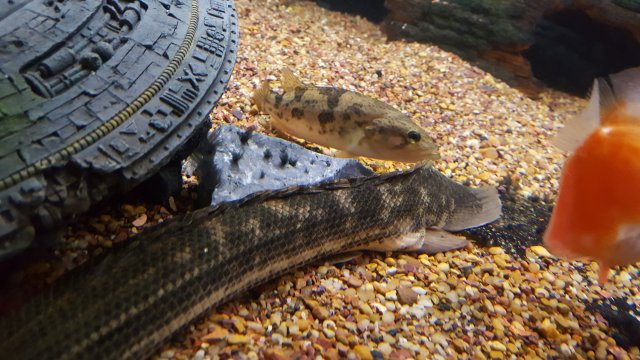 20161013_190358.jpg