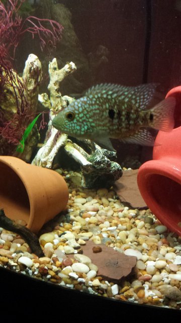 20160619_184836.jpg