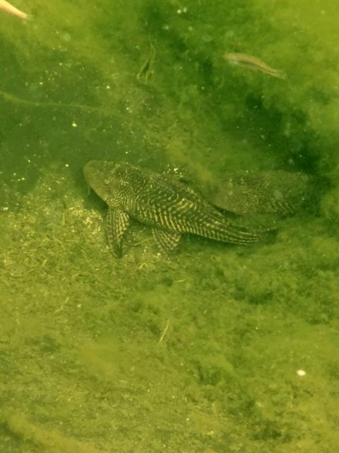 20161014_195211.jpg