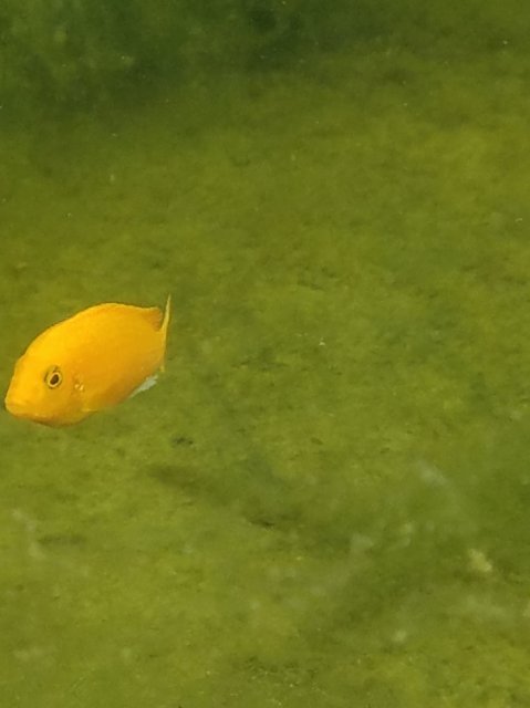 20161014_164716.jpg
