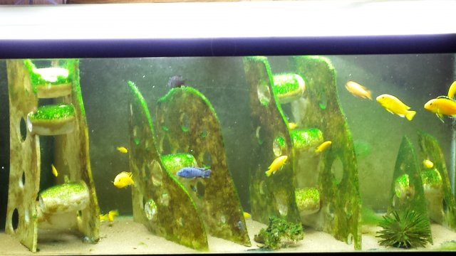 20161015_112855.jpg