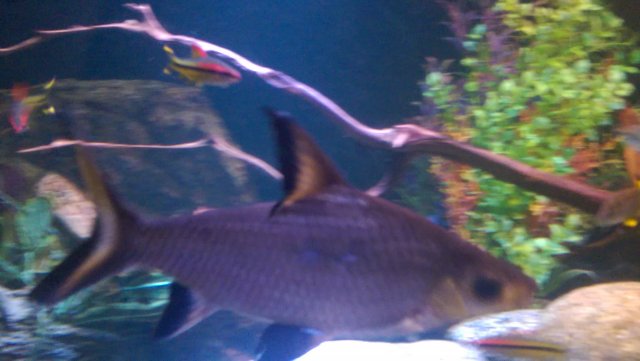 WP_20161004_008.jpg