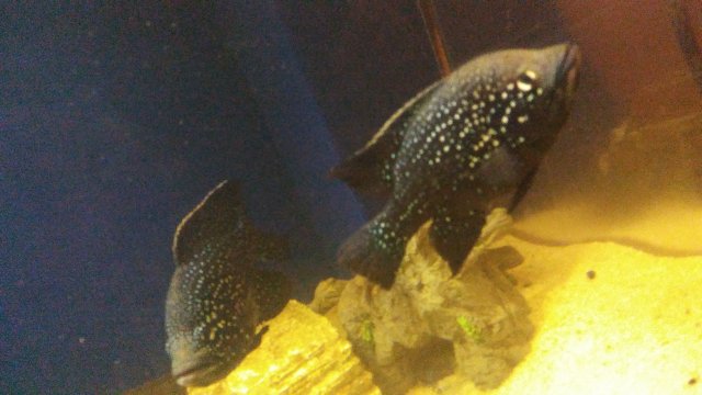 20160915_201655.jpg