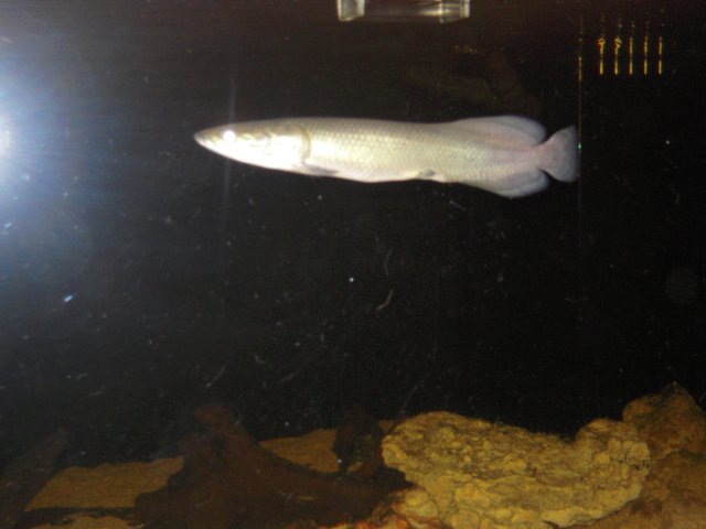 DSCN0135.JPG