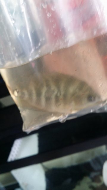 20160922_104452.jpg