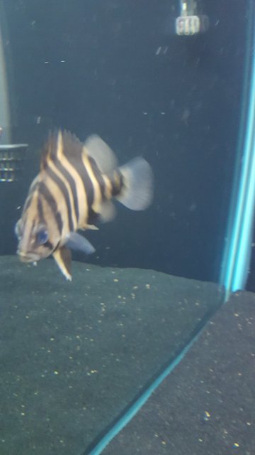 20161018_230925.jpg