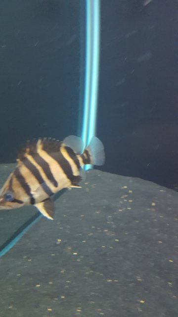 20161018_230923.jpg