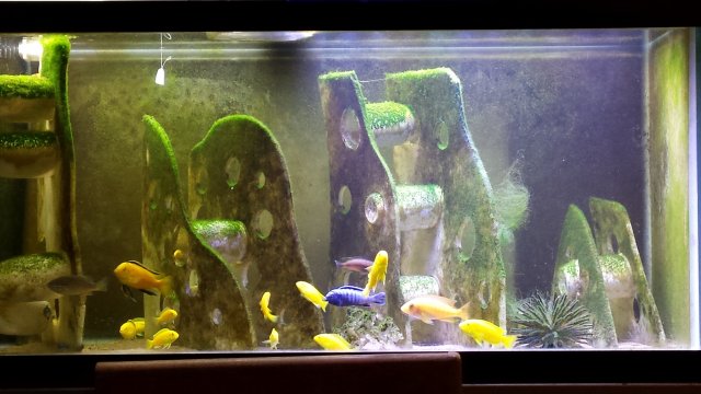 20161021_201521.jpg