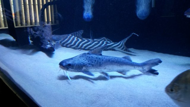 20161015_173155.jpg