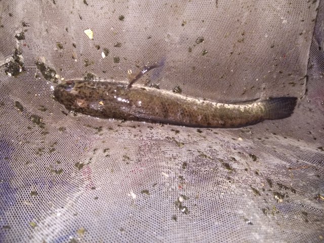 20161029_193753.jpg