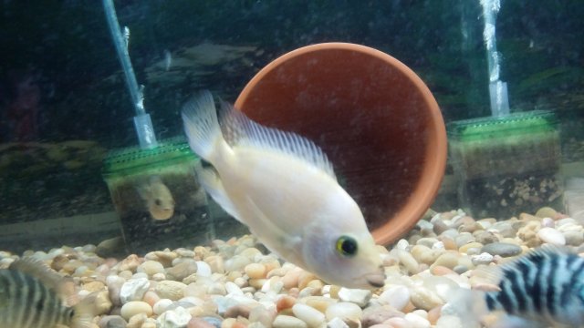 20160314_200241.jpg
