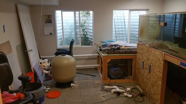 20161026_173712.jpg