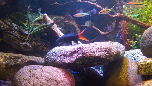 IMAG00044.jpg