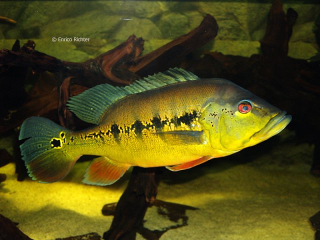 IMG_1591.JPG