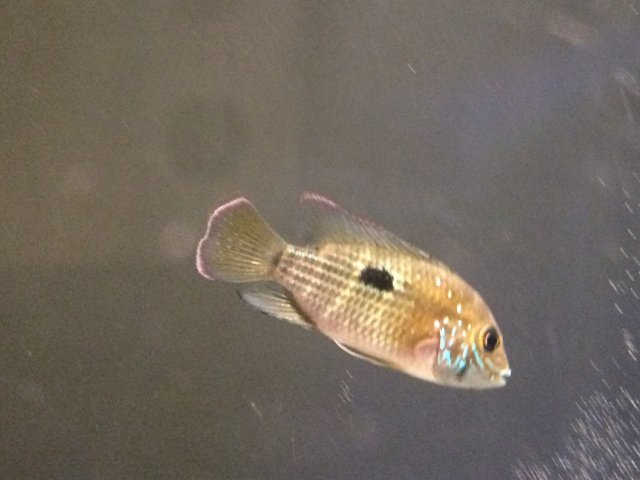 IMG_4175.JPG IMG_4175.JPG