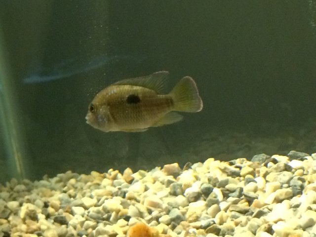 IMG_4190.JPG IMG_4190.JPG