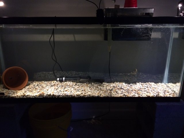 IMG_4198.JPG IMG_4198.JPG