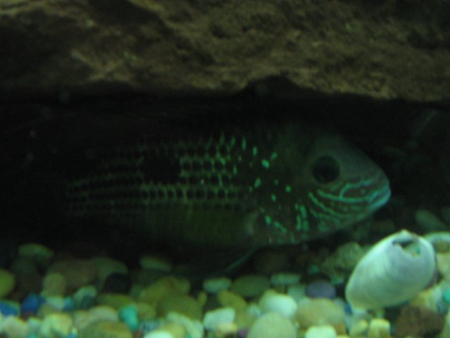 STU_1821.JPG STU_1821.JPG