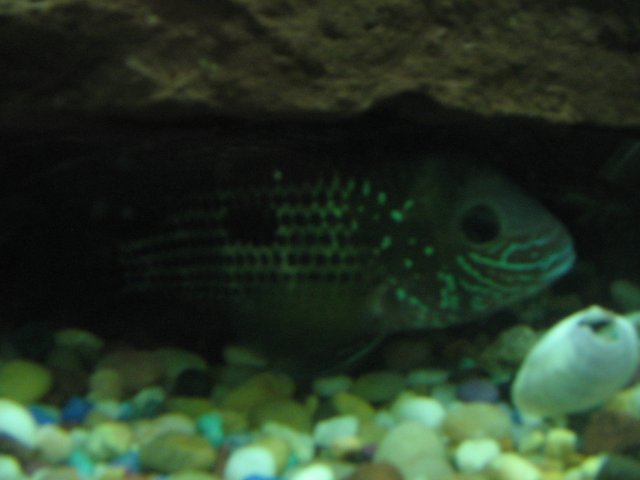 STT_1820.JPG STT_1820.JPG