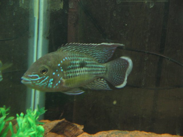 STC_1611.JPG STC_1611.JPG