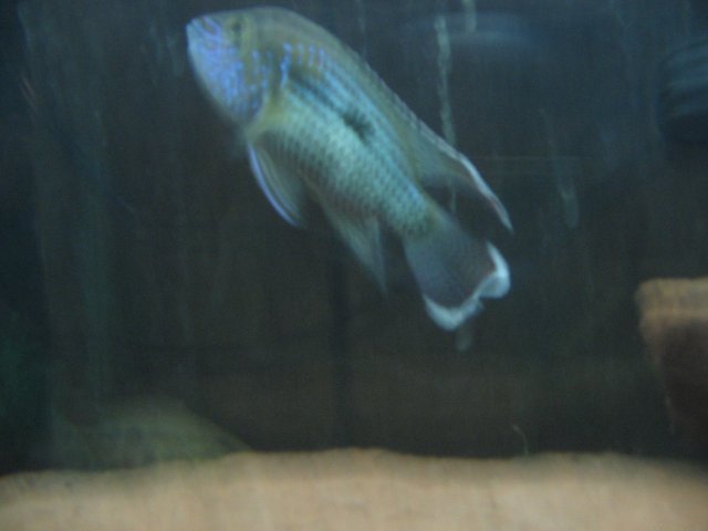 STD_1622.JPG STD_1622.JPG