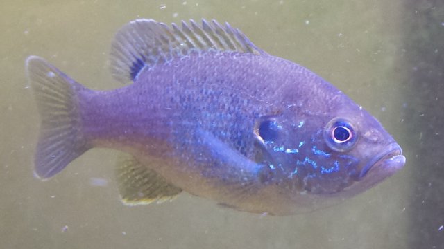20161022_144247.jpg