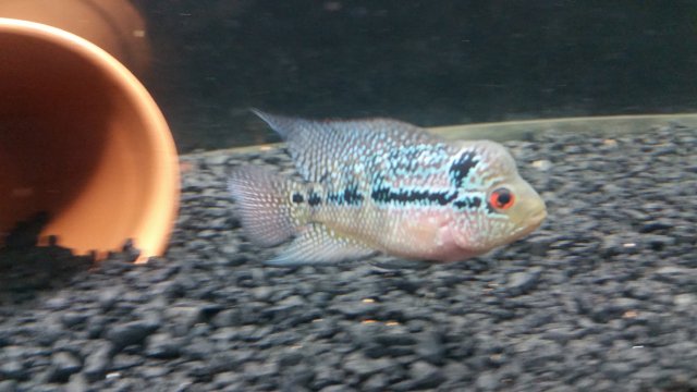 20161101_202601.jpg