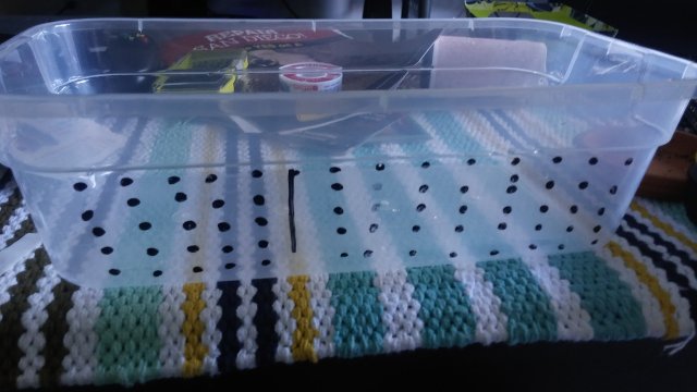 20161101_150335.jpg