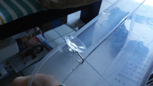 20161101_164900.jpg