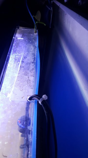 20161101_225348.jpg