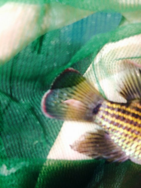 IMG_4224.JPG IMG_4224.JPG