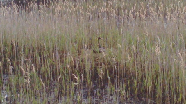 IMG_20161103_183950.jpg IMG_20161103_183950.jpg