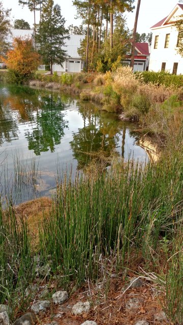 IMG_20161103_174024859_HDR.jpg