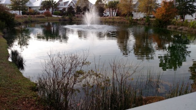 IMG_20161103_174038148.jpg