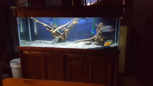 20160909_190211.jpg