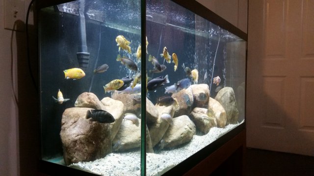 20160717_131713.jpg