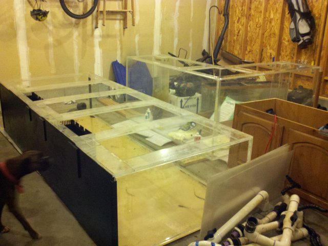 IMG_20120426_211439.jpg