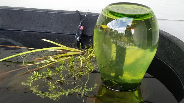 20161106_153205.jpg
