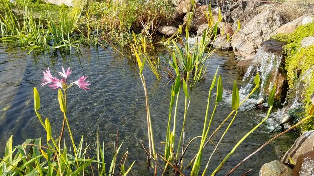 20161106_151022.jpg