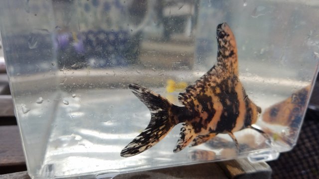 20161106_135237.jpg