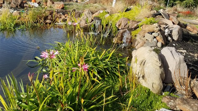 20161106_151045.jpg