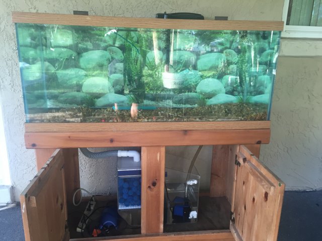 image.jpeg image.jpeg