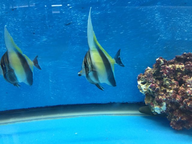 IMG_7384.JPG