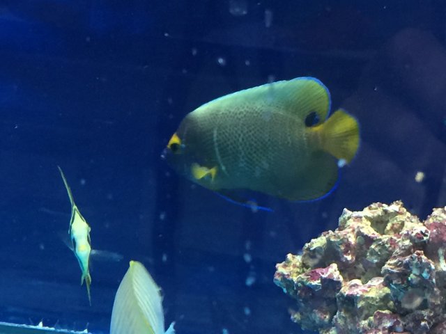 IMG_7367.JPG
