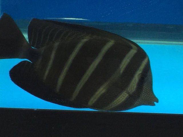 IMG_7348.JPG