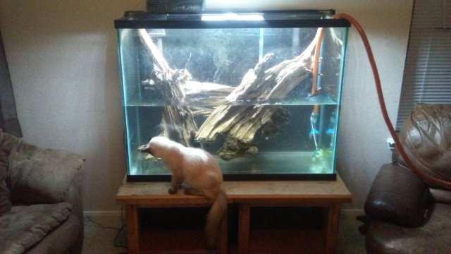 20161105_214001.jpg 20161105_214001.jpg