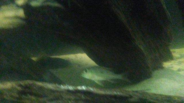 20161108_111705.jpg 20161108_111705.jpg