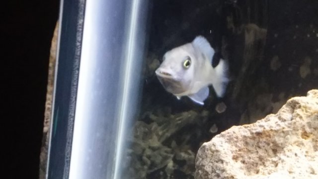 20161108_184348.jpg